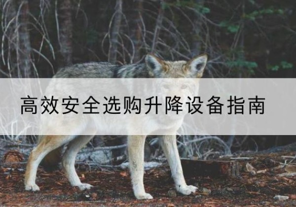 万山升降货梯厂家推荐-*安全选购升降设备指南