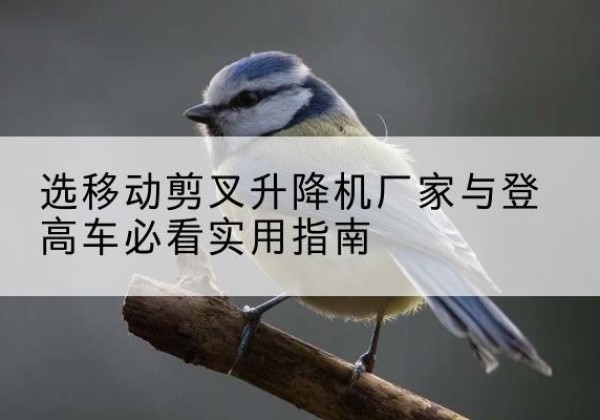 万山电动升降机厂家-选移动剪叉升降机厂家与登高车必看实用指南