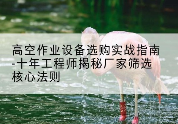 万山剪叉式升降机厂家-高空作业设备选购实战指南-十年工程师揭秘厂家筛选核心法则